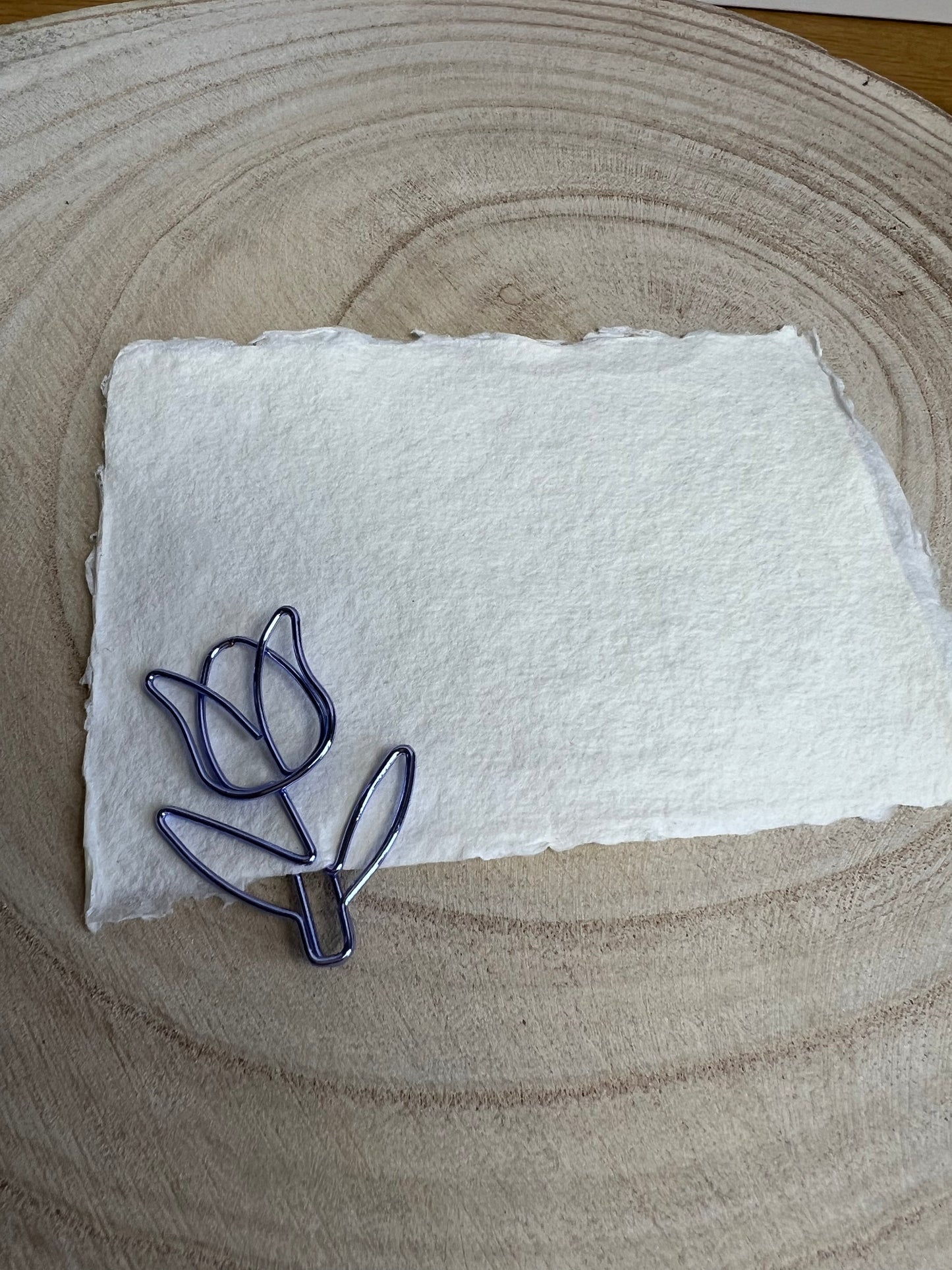 Büroklammer | Tulpe lila