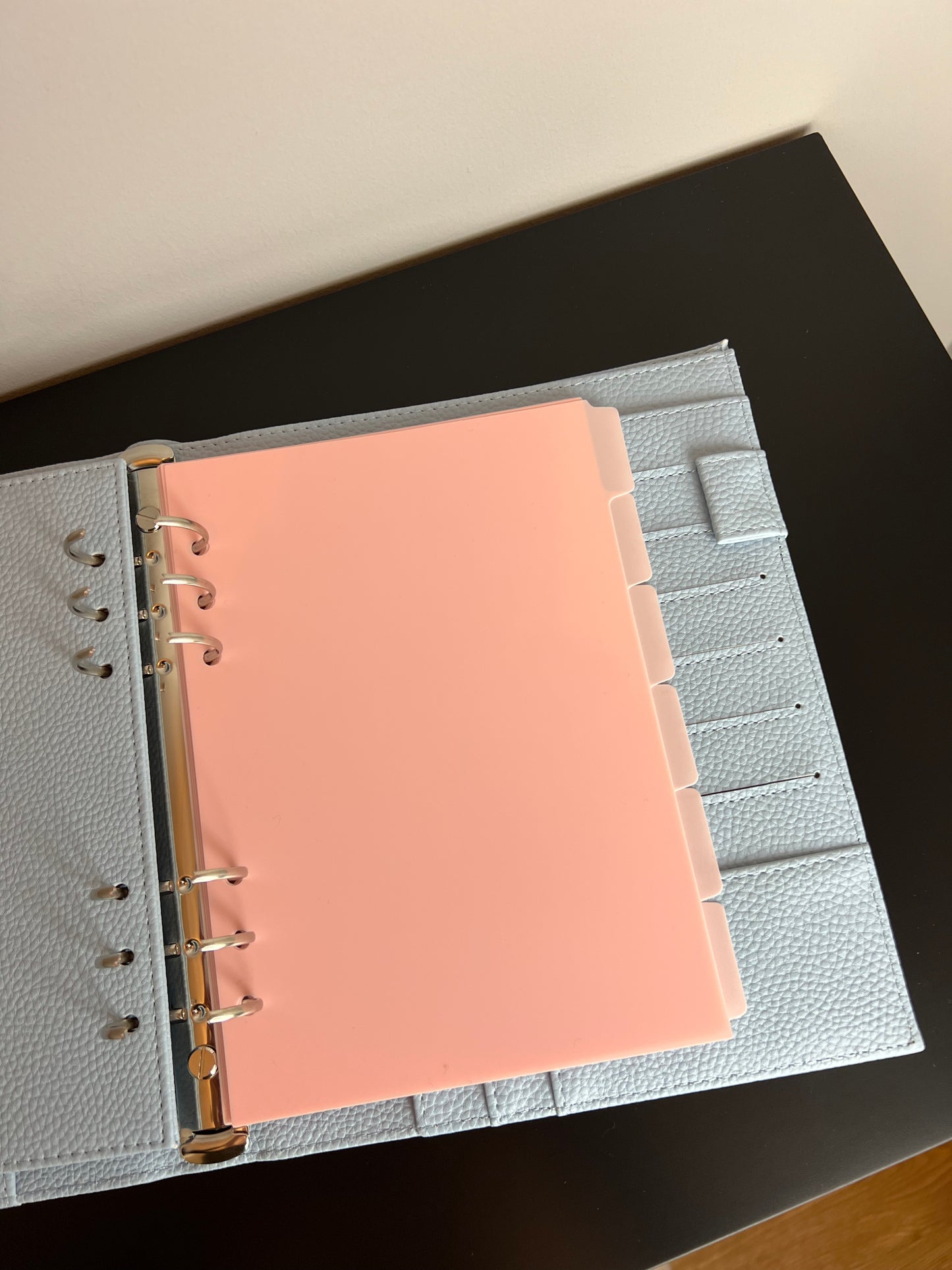 Register für Budget Binder A5 | rosé